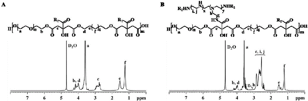 Non-viral gene carrier of autofluorescence degradable poly-citrate and preparation method thereof