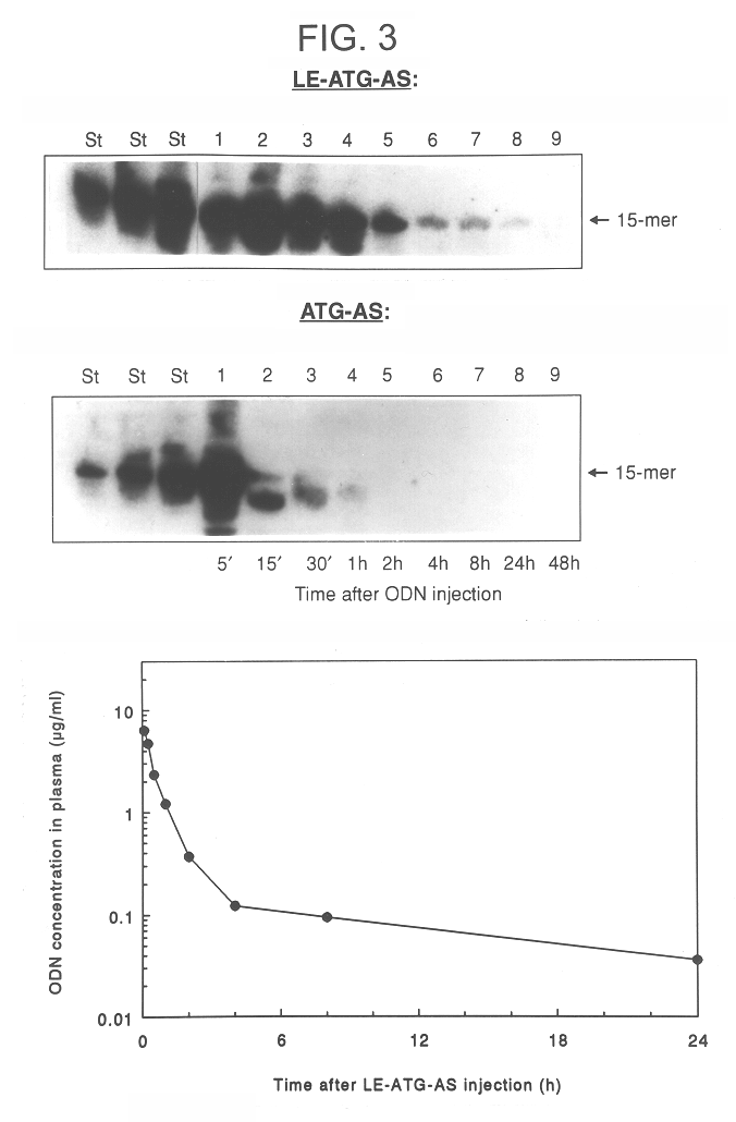 Cationic liposomal delivery system and therapeutic use thereof