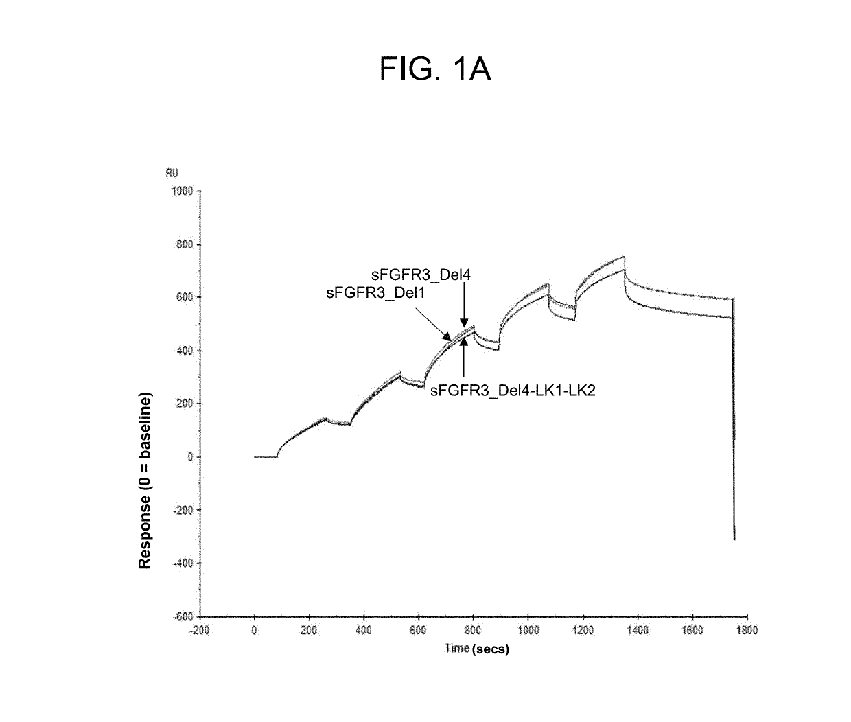 Soluble fibroblast growth factor receptor 3 (SFGFR3) polypeptides and uses thereof