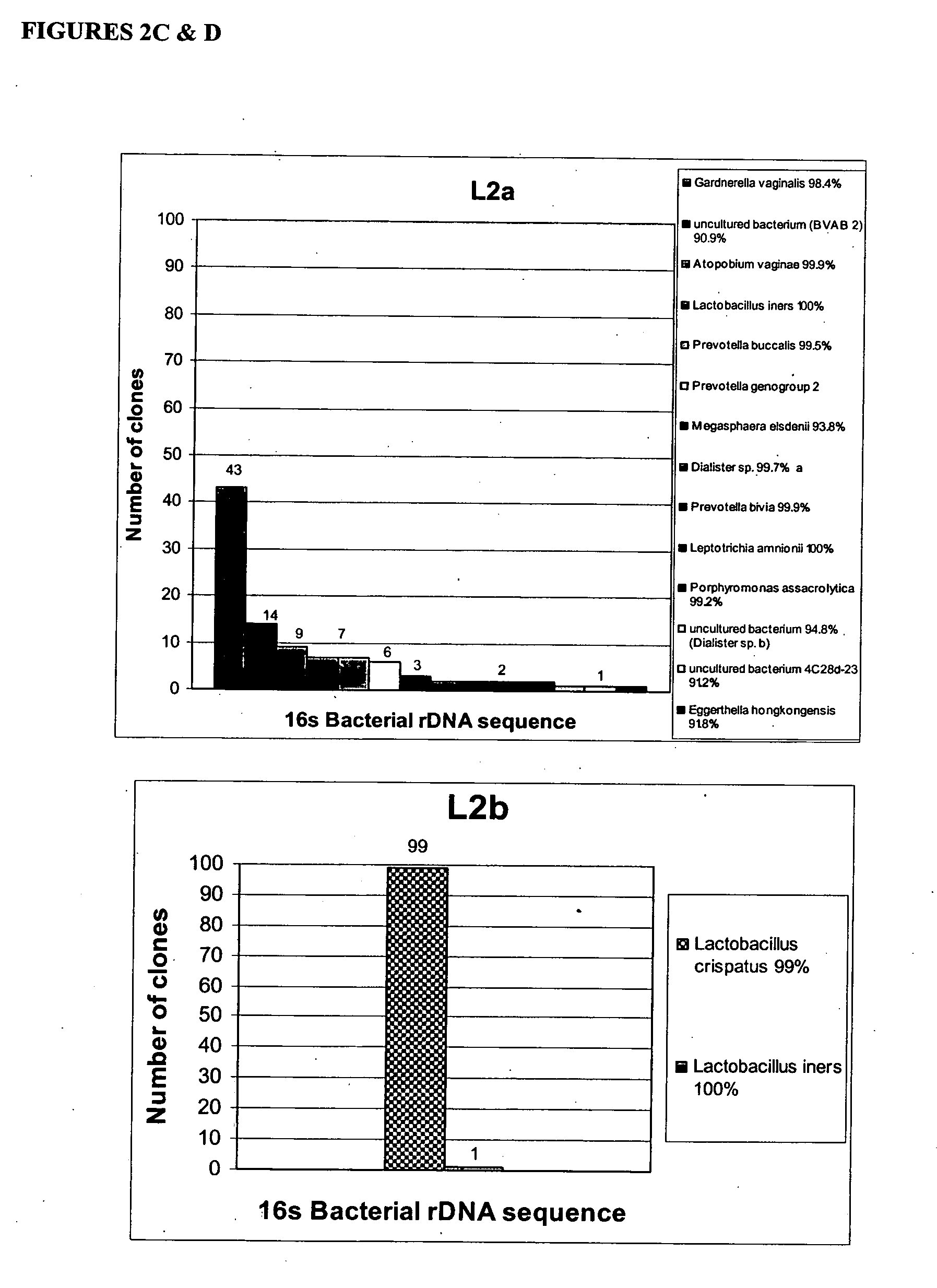 Methods and compositions for identifying bacteria associated with bacterial vaginosis