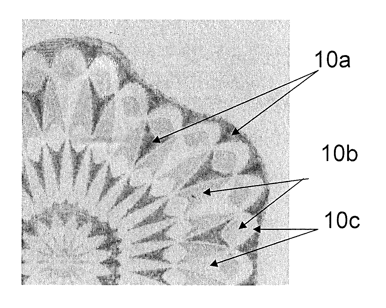Method for printing multi-characteristic intaglio features