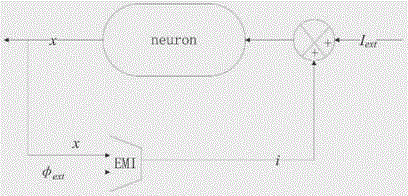 Neuron electrical activity simulator under electromagnetic radiation