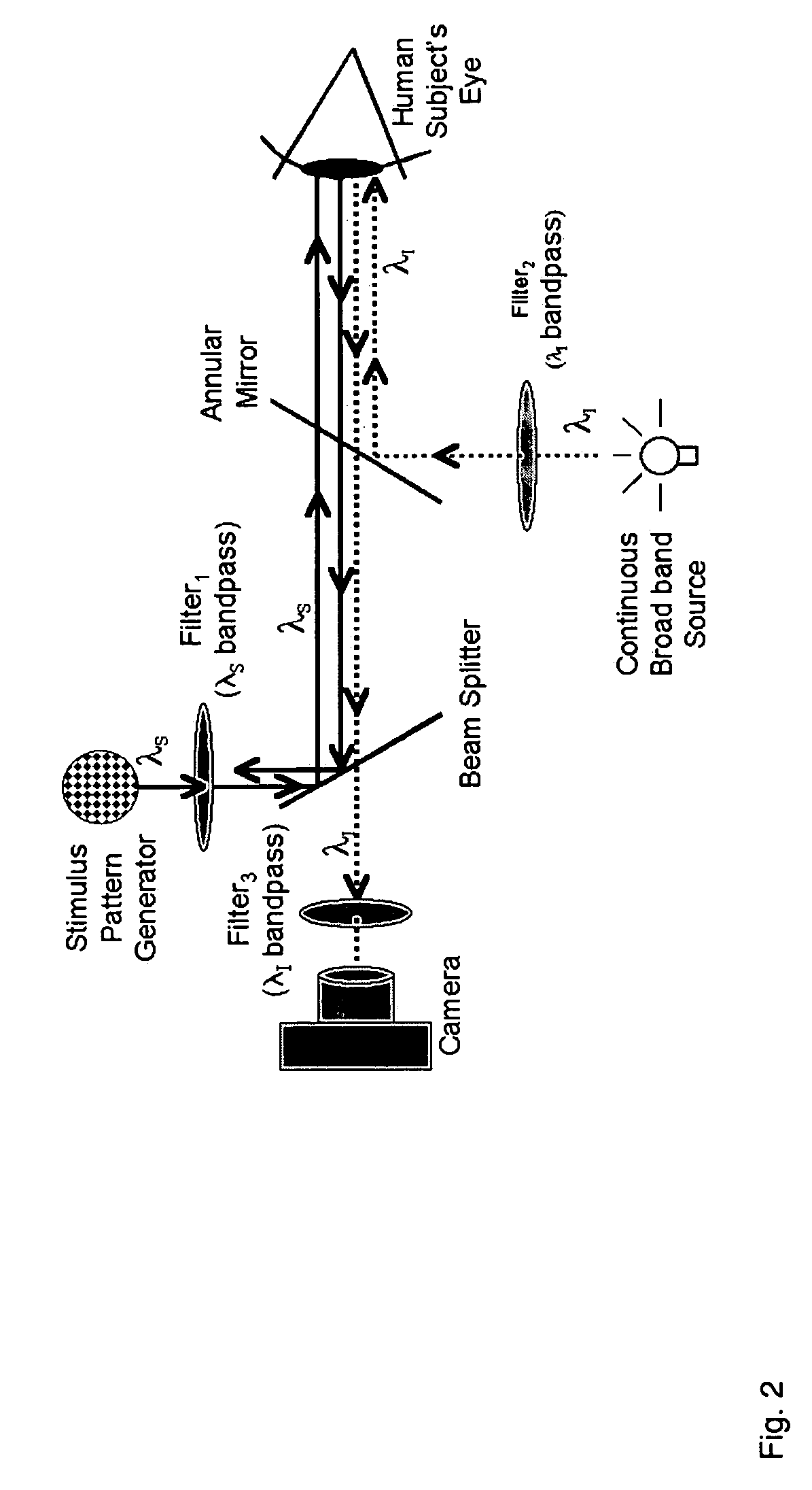 Device and method for optical imaging of retinal function