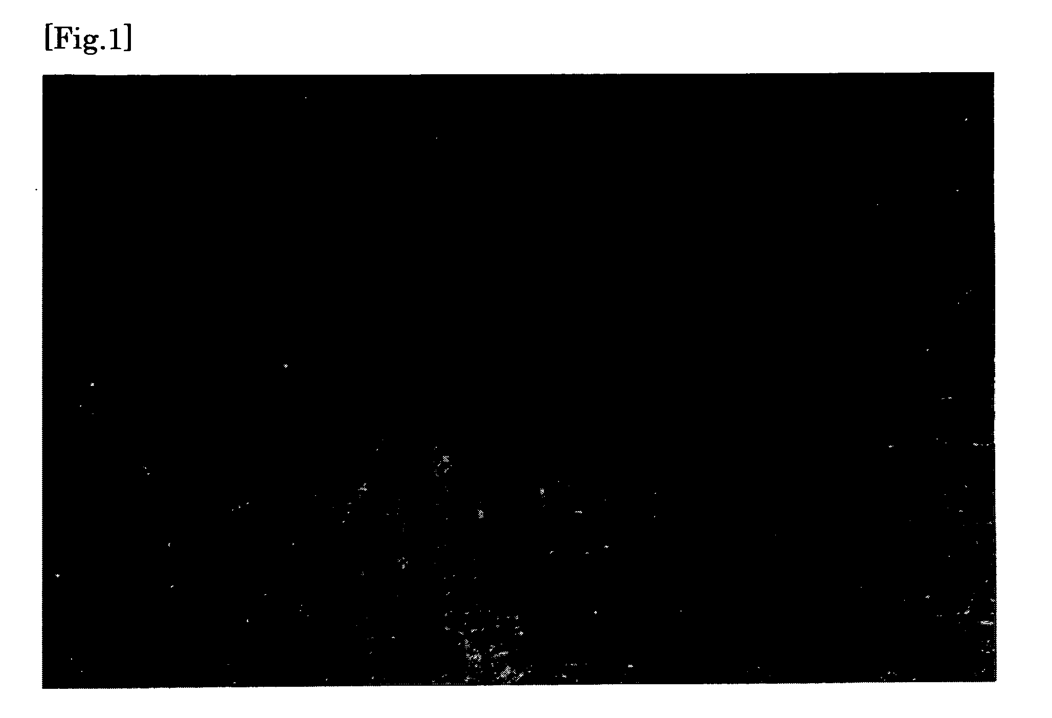 Host Cells Used For Production of Recombinant Protein