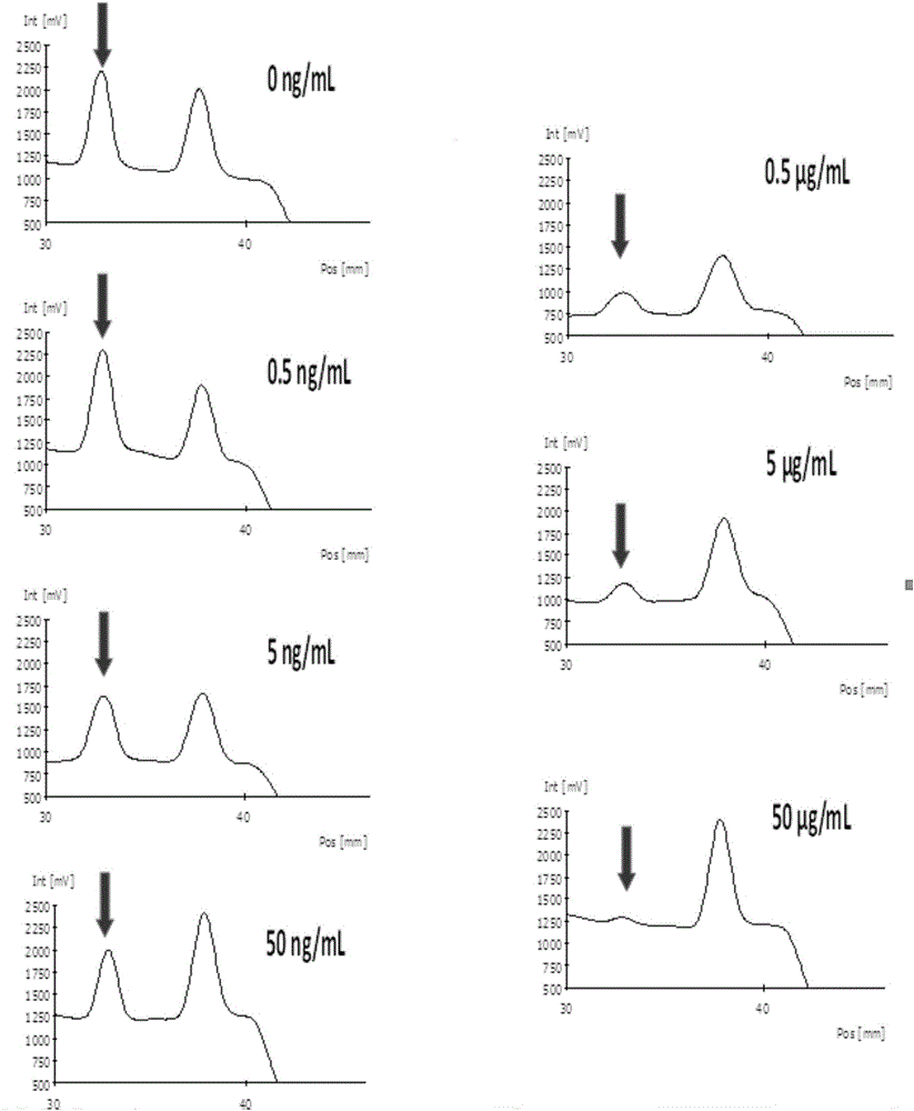 Competition method detection test strip based on antigen-aptamer and application thereof