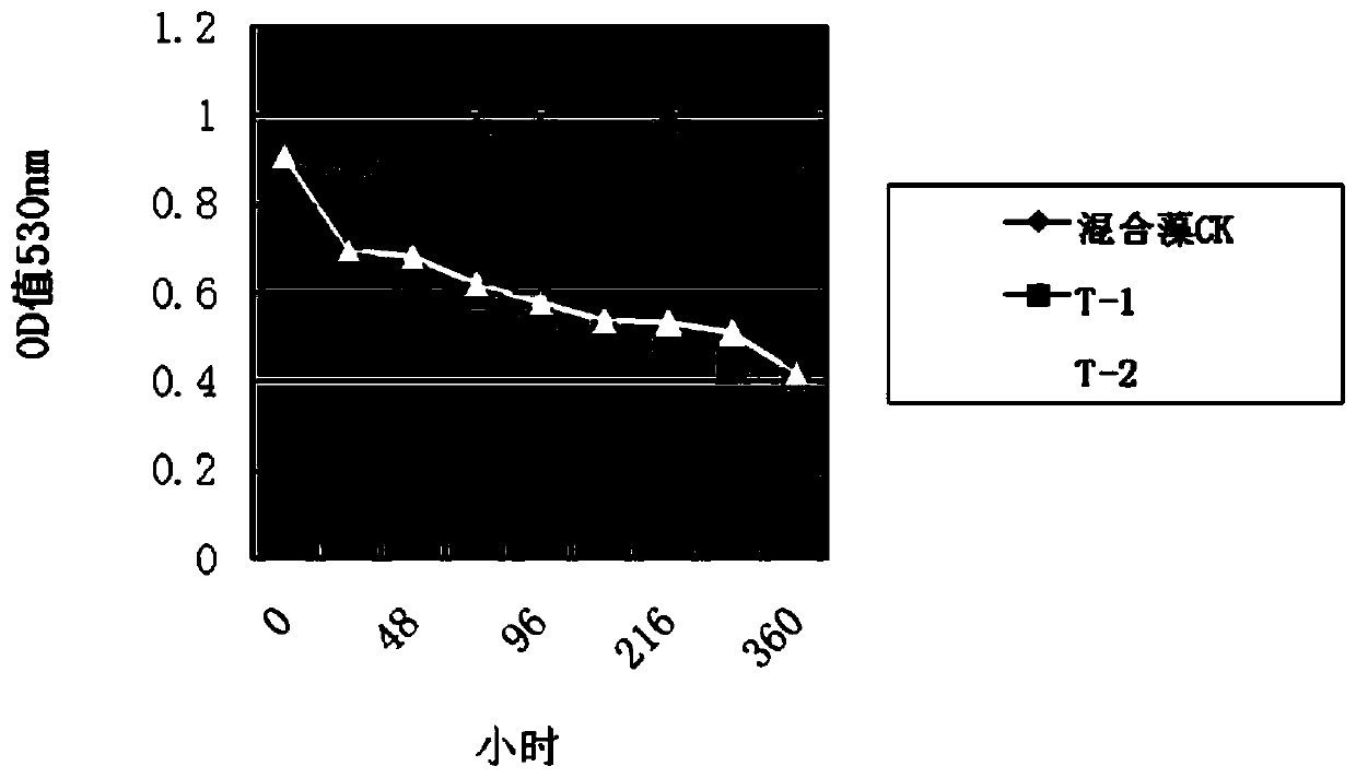 Cyanobacterial bloom control agent and application thereof