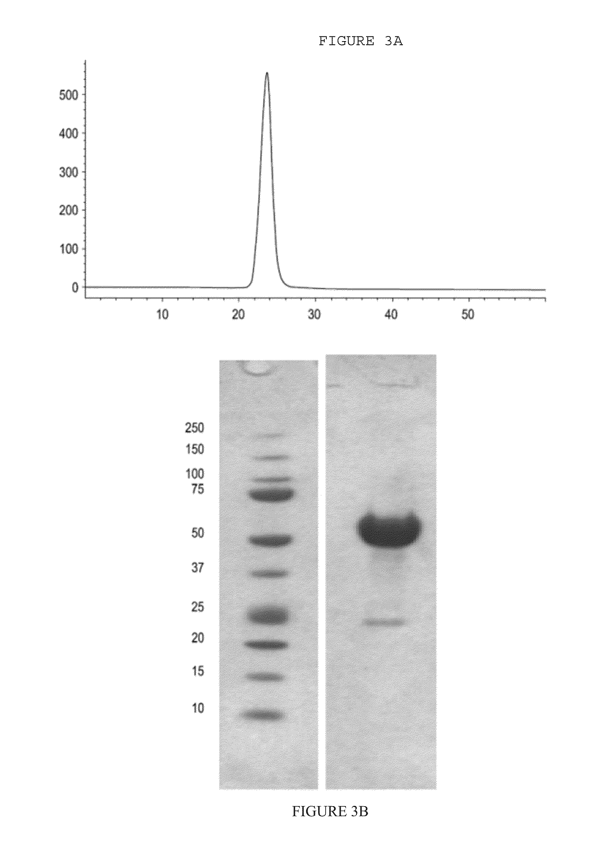 Methods for increasing red blood cell levels and treating sickle-cell disease
