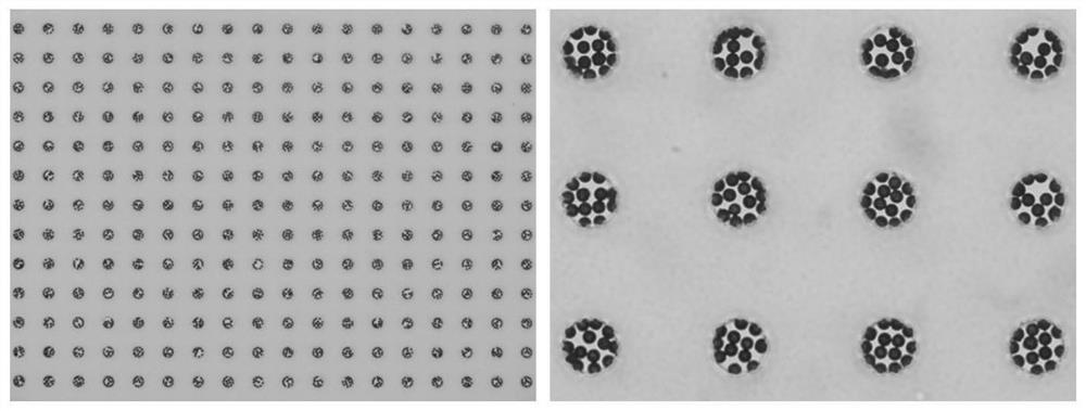 High-resolution spatial omics detection method for tissue sample