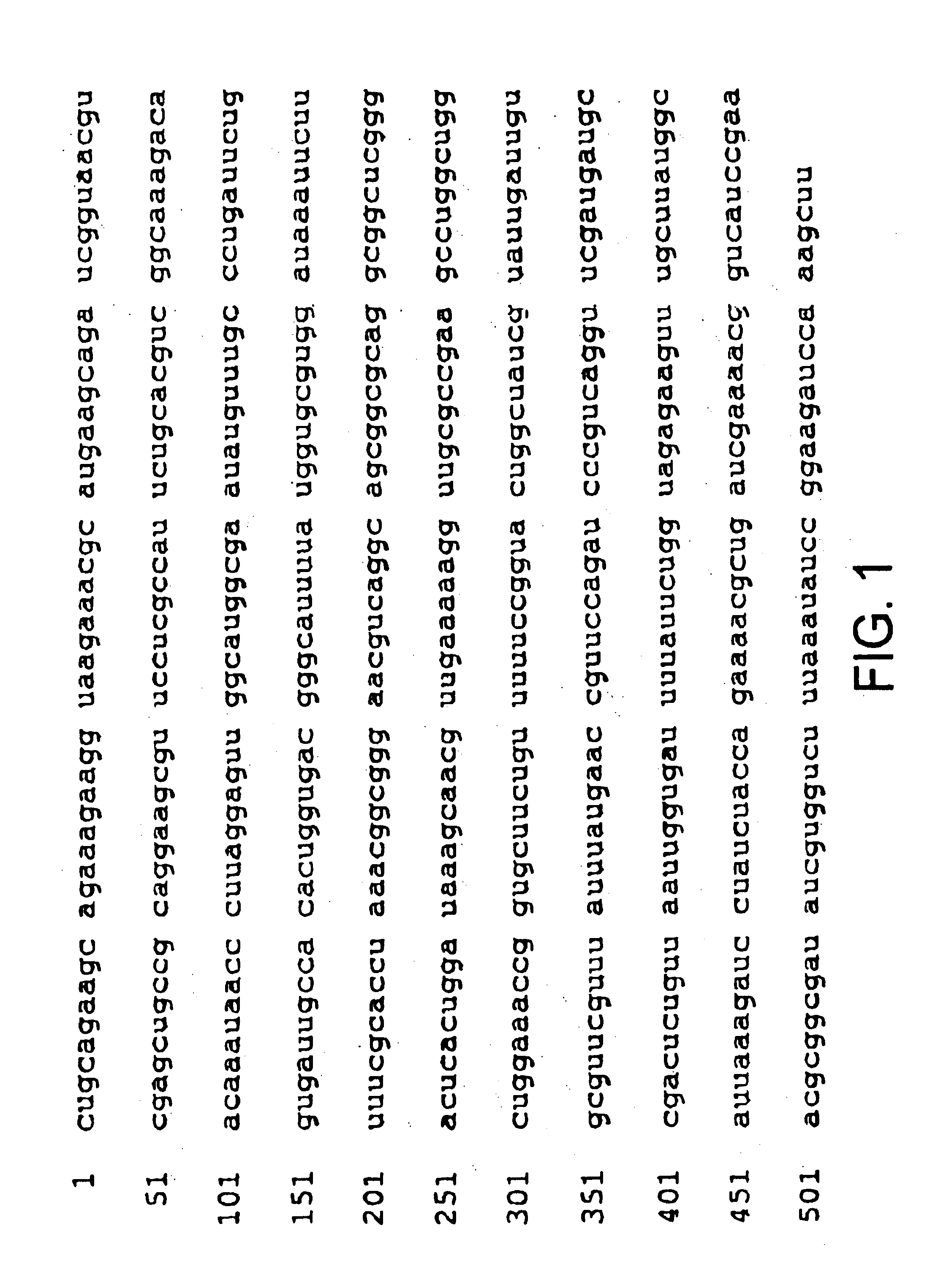 Methods for identifying anti-microbial agents