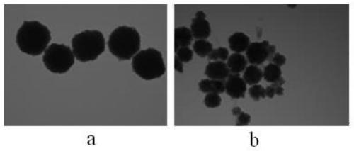 Mesenchymal stem cell membrane camouflaged magnetic drug-loaded nanoparticles as well as preparation method and application thereof