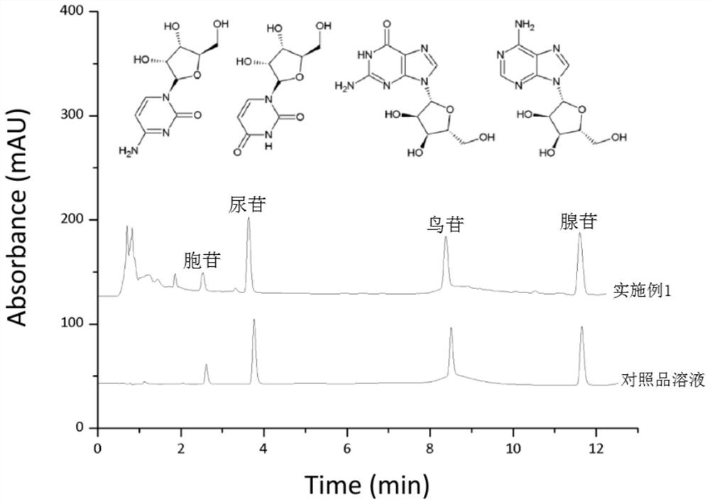 Ganoderma lucidum extract as well as preparation method and application thereof