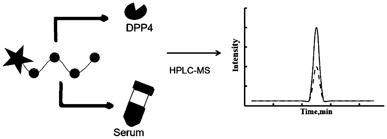 Mass spectrum probe for activity detection of DPP-4 as well as preparation method and application of mass spectrum probe