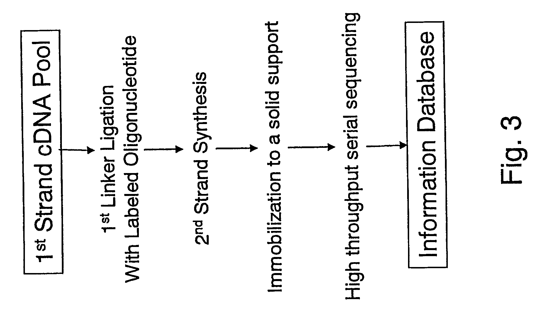 Method of utilizing the 5'end of transcribed nucleic acid regions for cloning and analysis