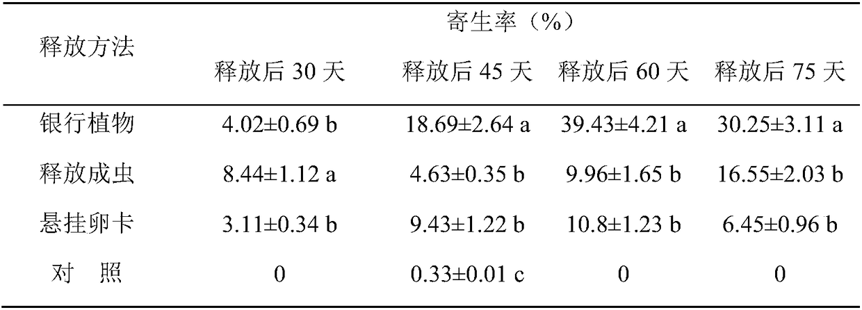 Method for increasing parasitism rate of parasitic wasps in cryptic species of bemisia tabaci gennadius MED