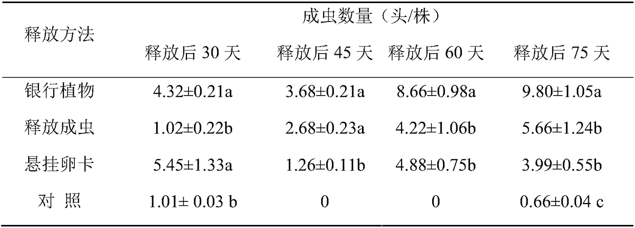 Method for increasing parasitism rate of parasitic wasps in cryptic species of bemisia tabaci gennadius MED