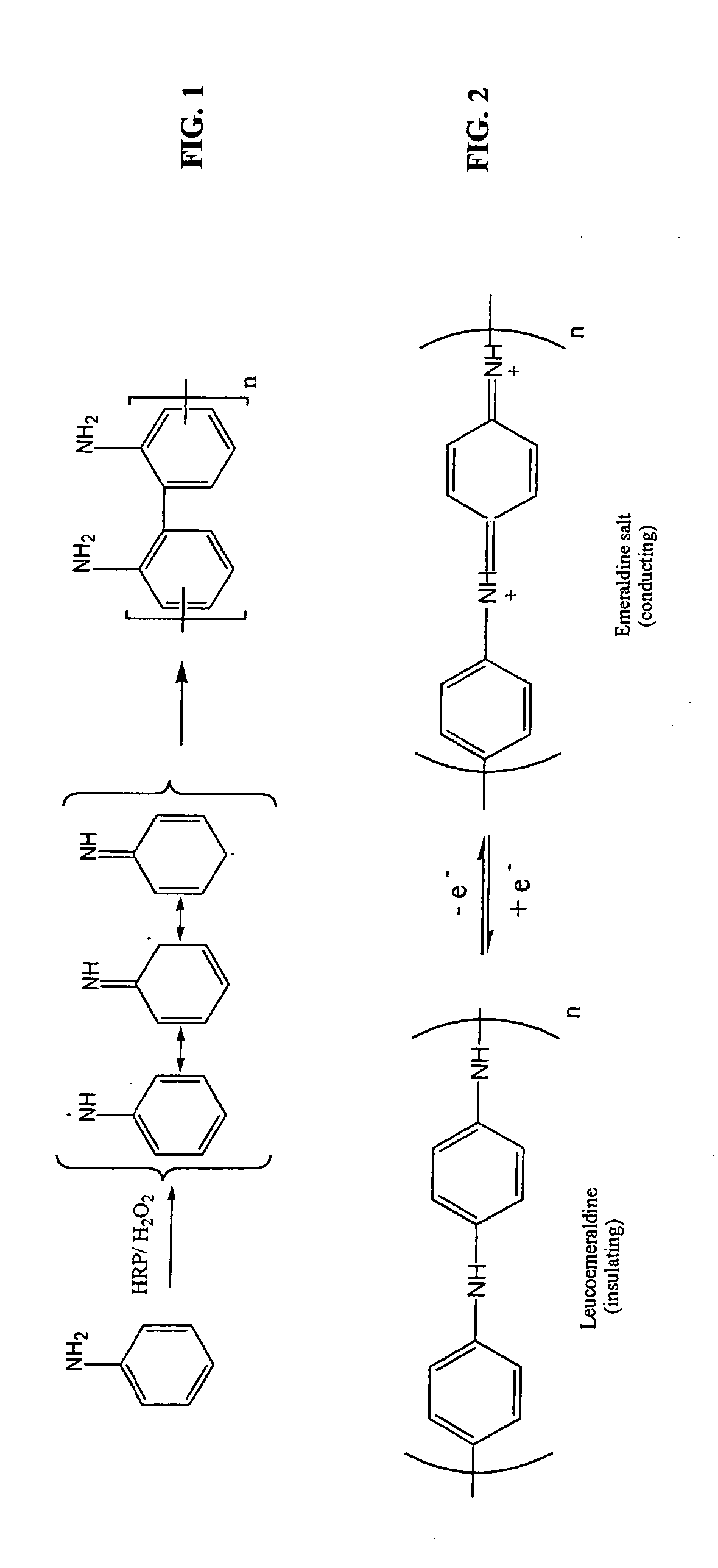 Enzymatic template polymerization