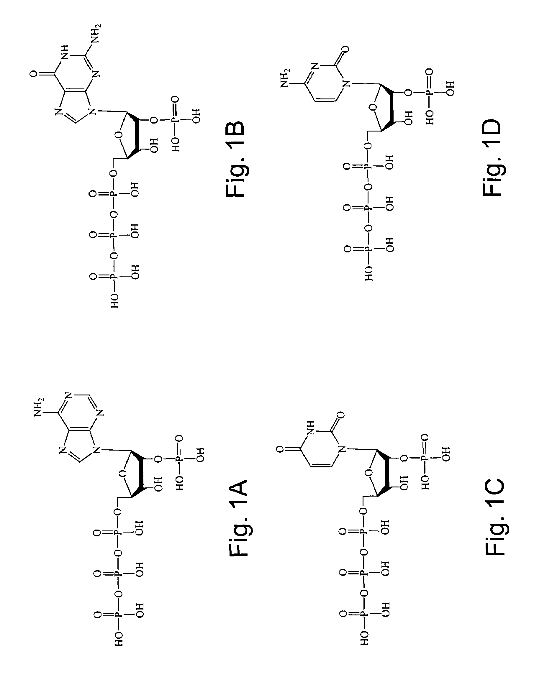 2'-terminator nucleotide-related methods and systems