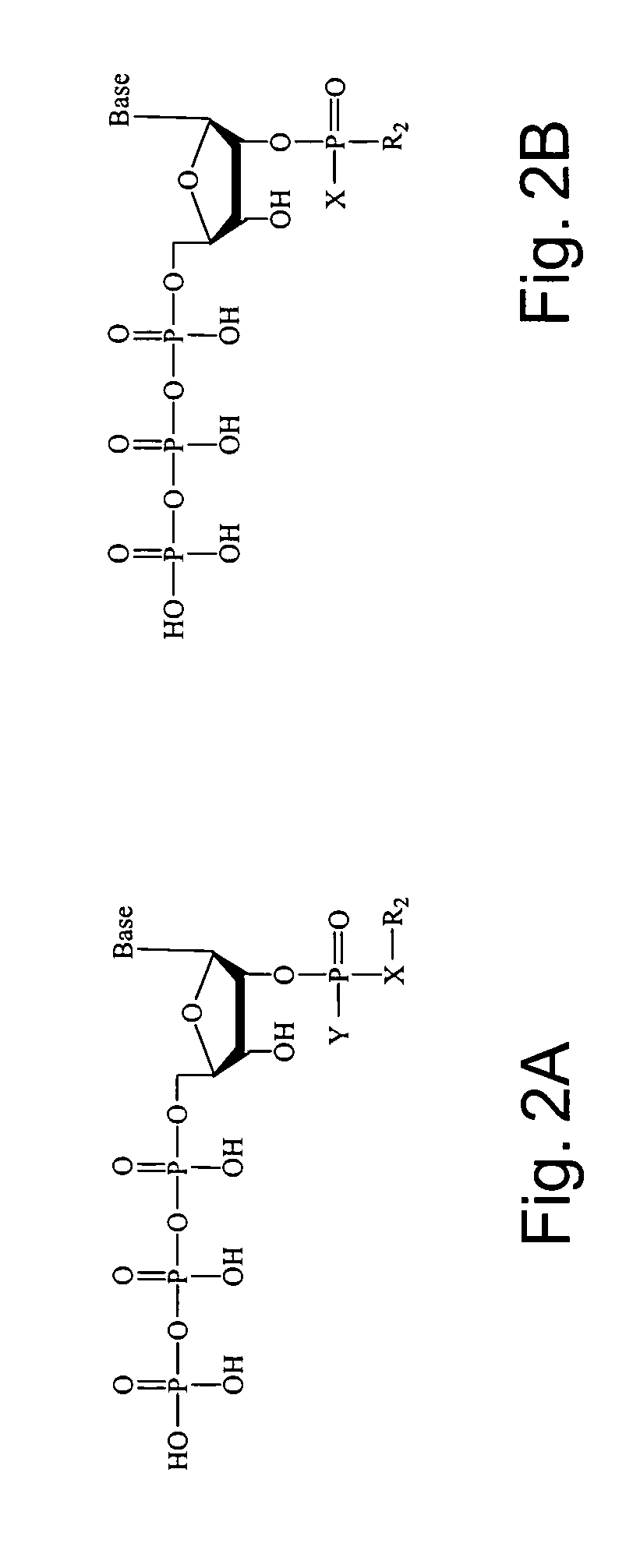 2'-terminator nucleotide-related methods and systems