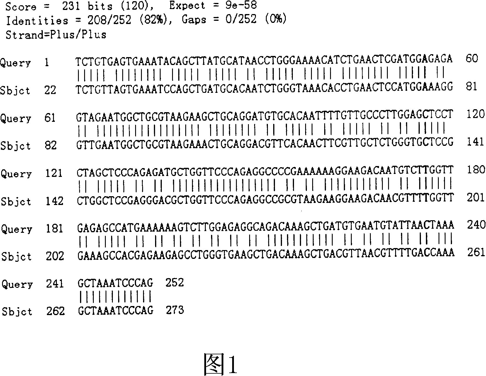 Method for producing recombined human parathyroid hormone (1í½84peptide)