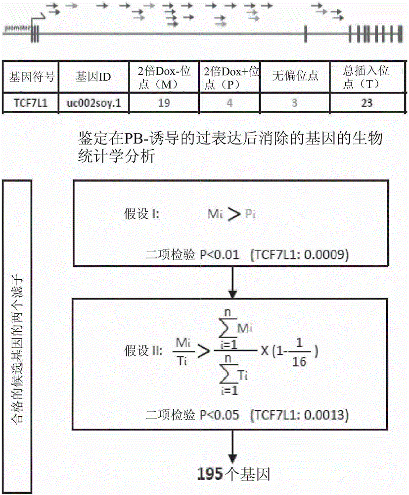 Compositions and methods of using transposons