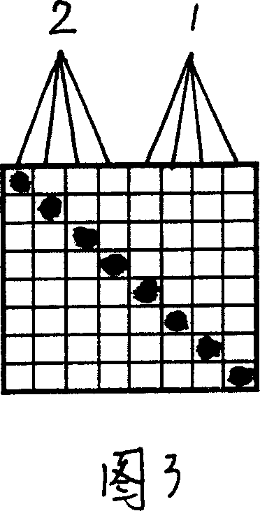 Silk spinning machine for weaving brocade and weave method thereof