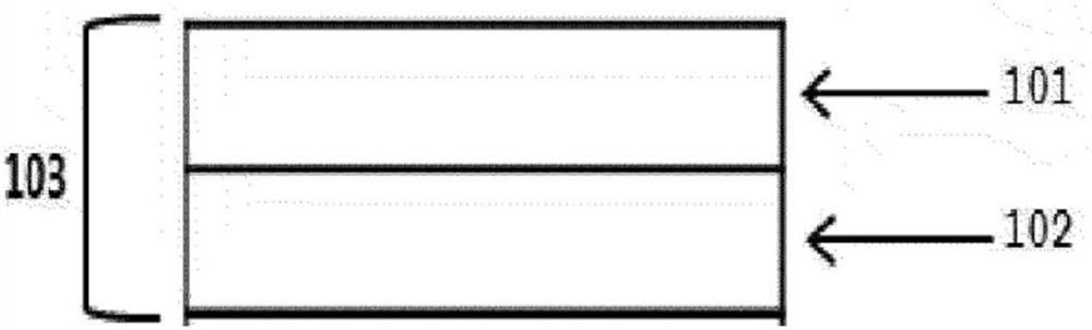 Adhesive composition, adhesive film comprising adhesive composition, back plate film comprising adhesive film, and plastic organic light emitting display comprising adhesive film