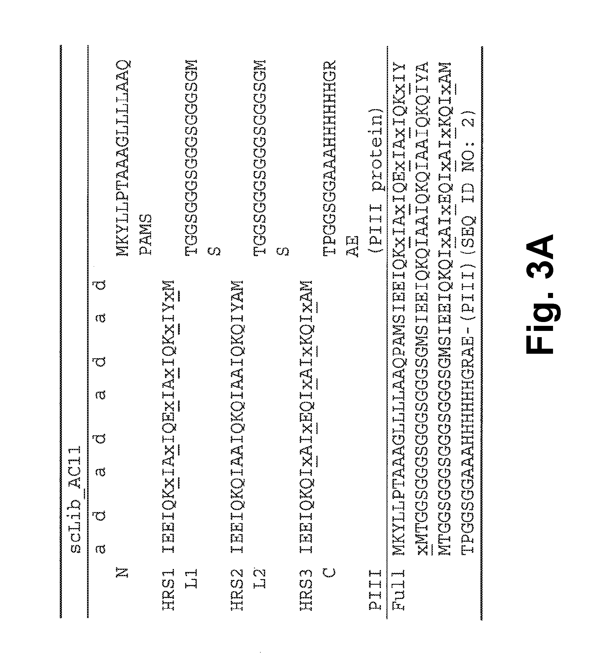 Alphabody libraries and methods for producing the same