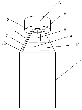 Automatic liquid shoe polish brush