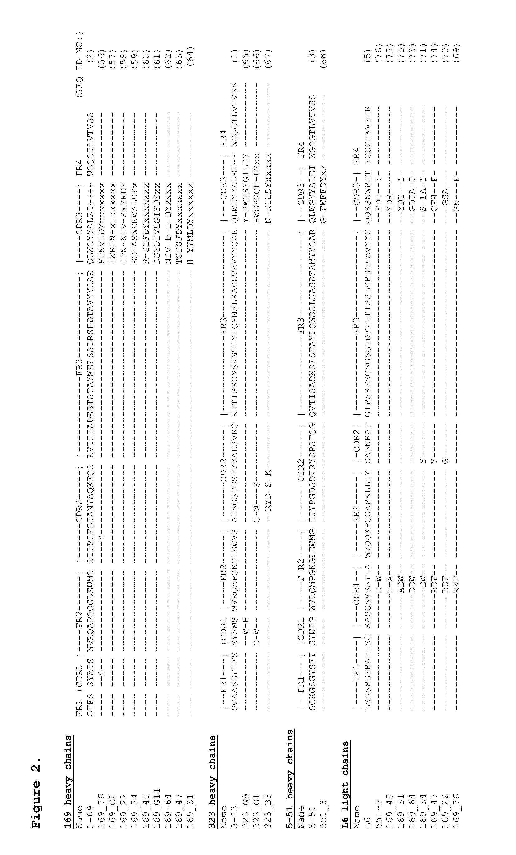 Antibodies binding human collagen II