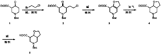 5-tert-butyloxycarbonyl octahydrofuro[3,2-c]pyridine-7-carboxylic acid synthesis method