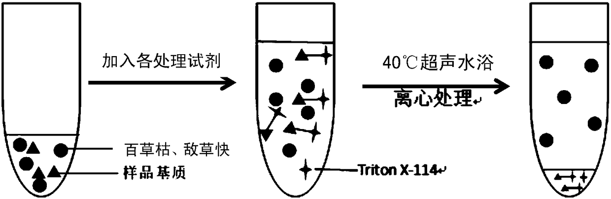 Method for determining contents of paraquat and diquat in biological fluid