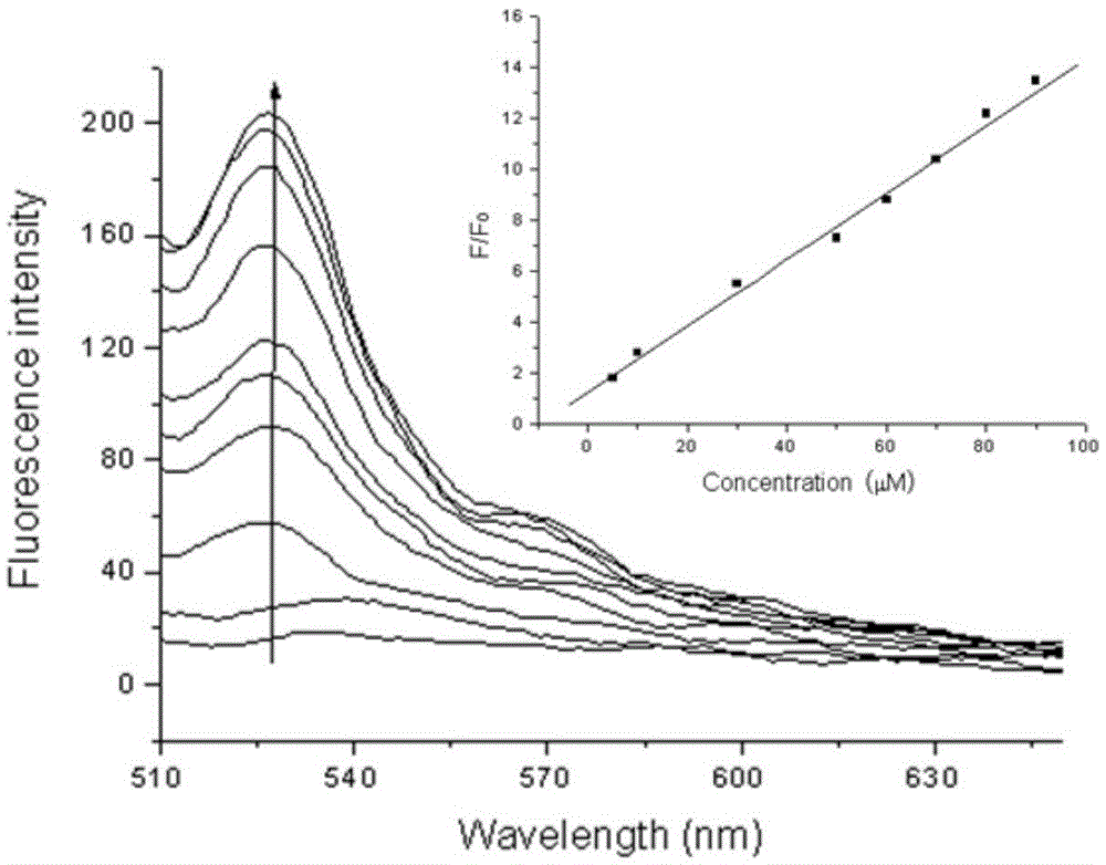 Two-photon reversible type fluorescent probe FO-PSe for hypochlorous acid detection, and preparation method and application thereof