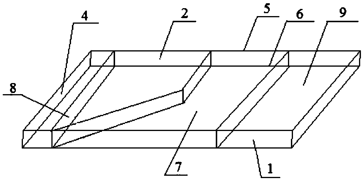 A thin plate tissue positioning sample preparation method