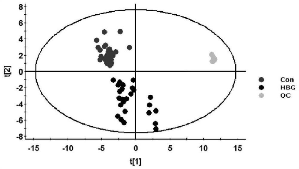 Application of plasma metabolic markers in diagnosis or monitoring of hbv