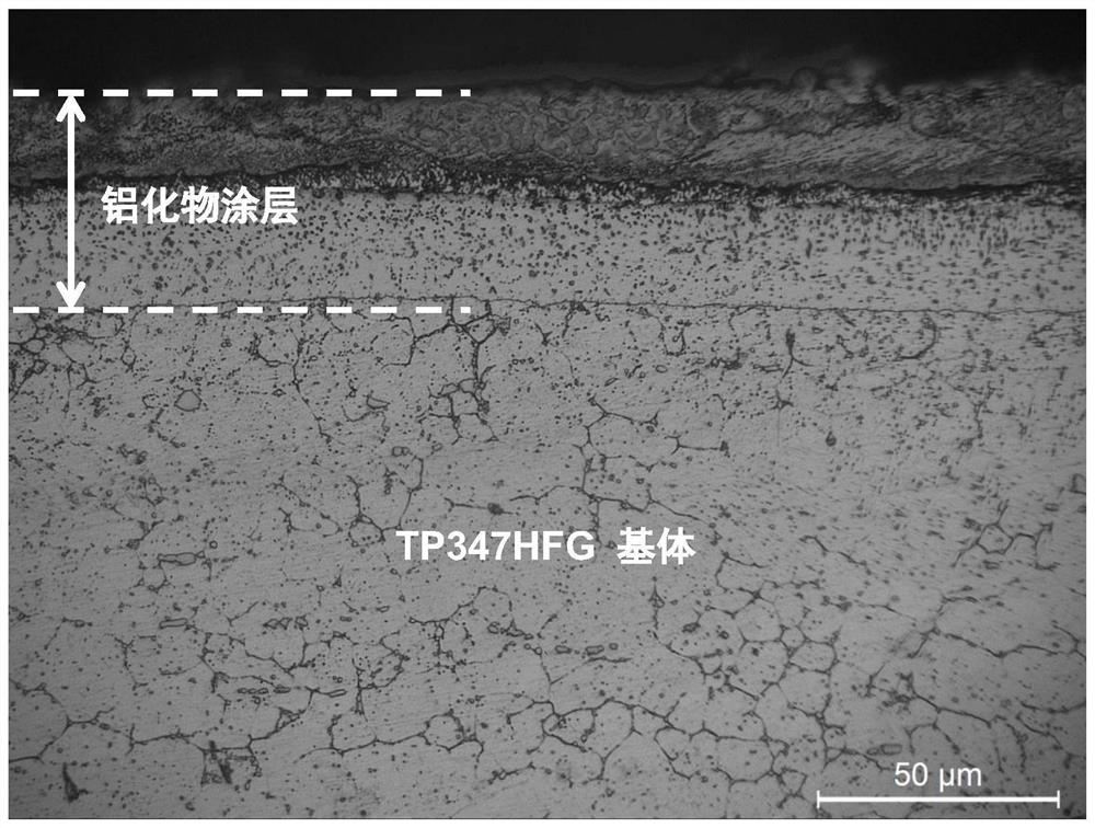 Metallographic corrosion method for simultaneously displaying austenitic stainless steel and aluminide coating organization structure on surface of austenitic stainless steel