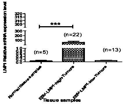 CDH6-based diagnostic kit for Epstein-Barr virus-associated nasopharyngeal carcinoma