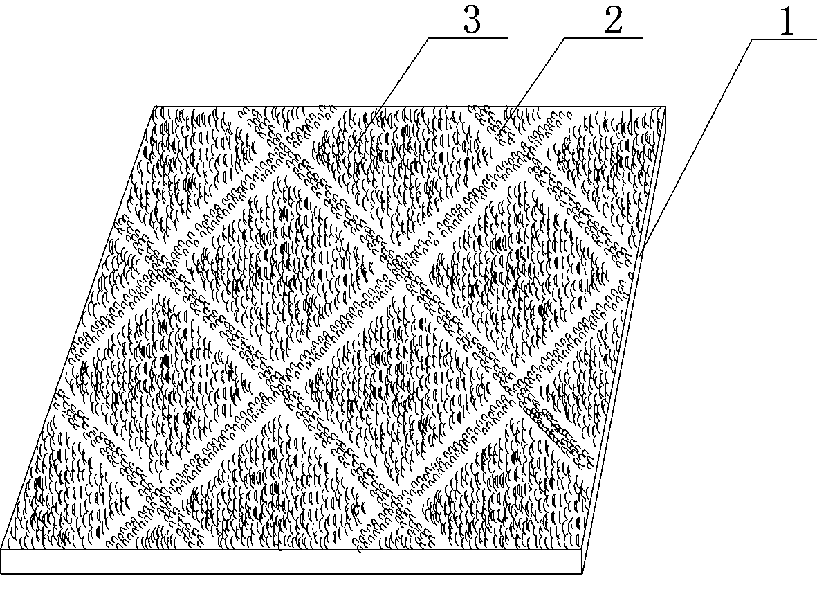 Loop pile fabric and weaving method thereof