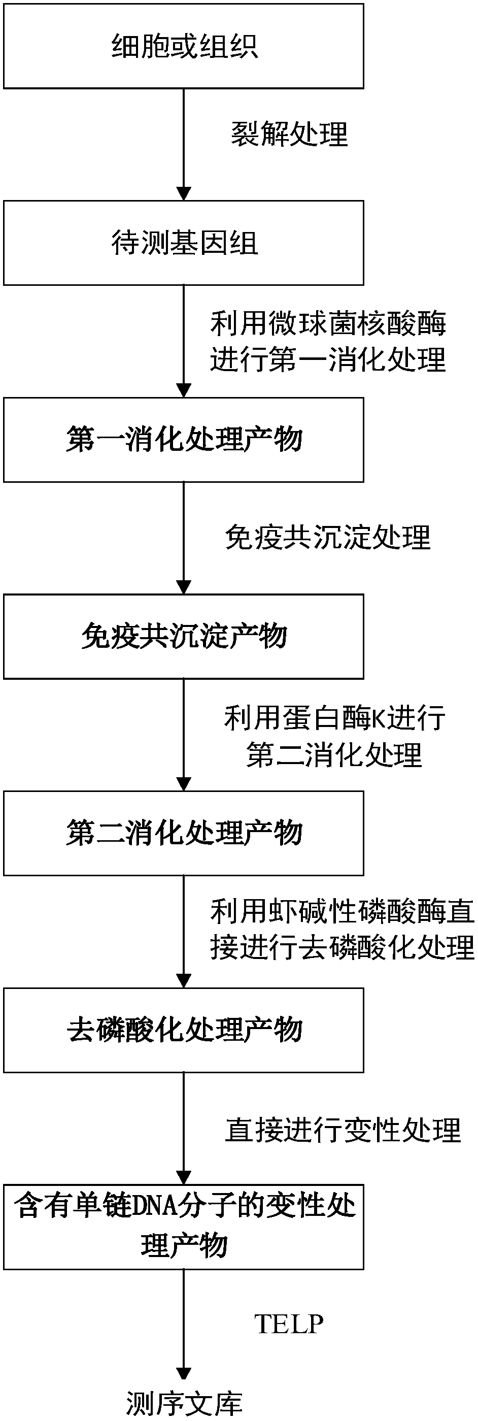 Method and application of constructing dna sequencing library of genome to be tested