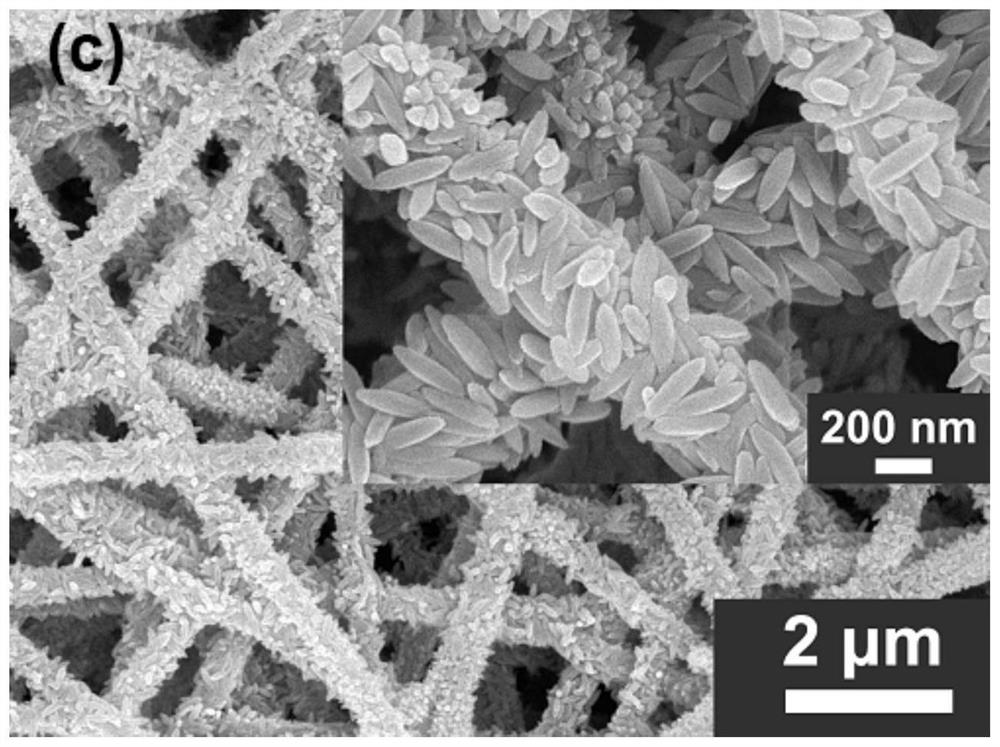 A composite nanofibrous membrane of β-feooh/polyacrylonitrile and its preparation method and application