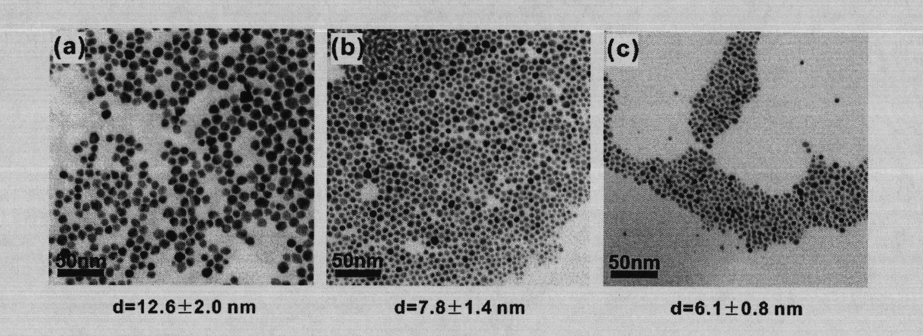 Method for bionically preparing water-soluble gold nanoparticles