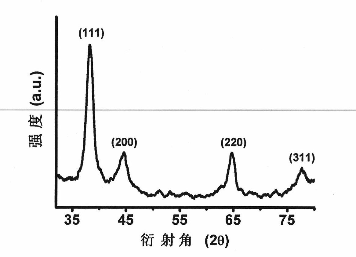 Method for bionically preparing water-soluble gold nanoparticles