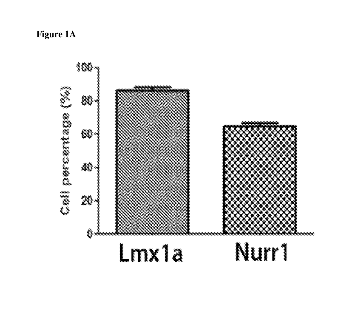 Stem cell-derived neural cells for cell therapy in neurological disorders