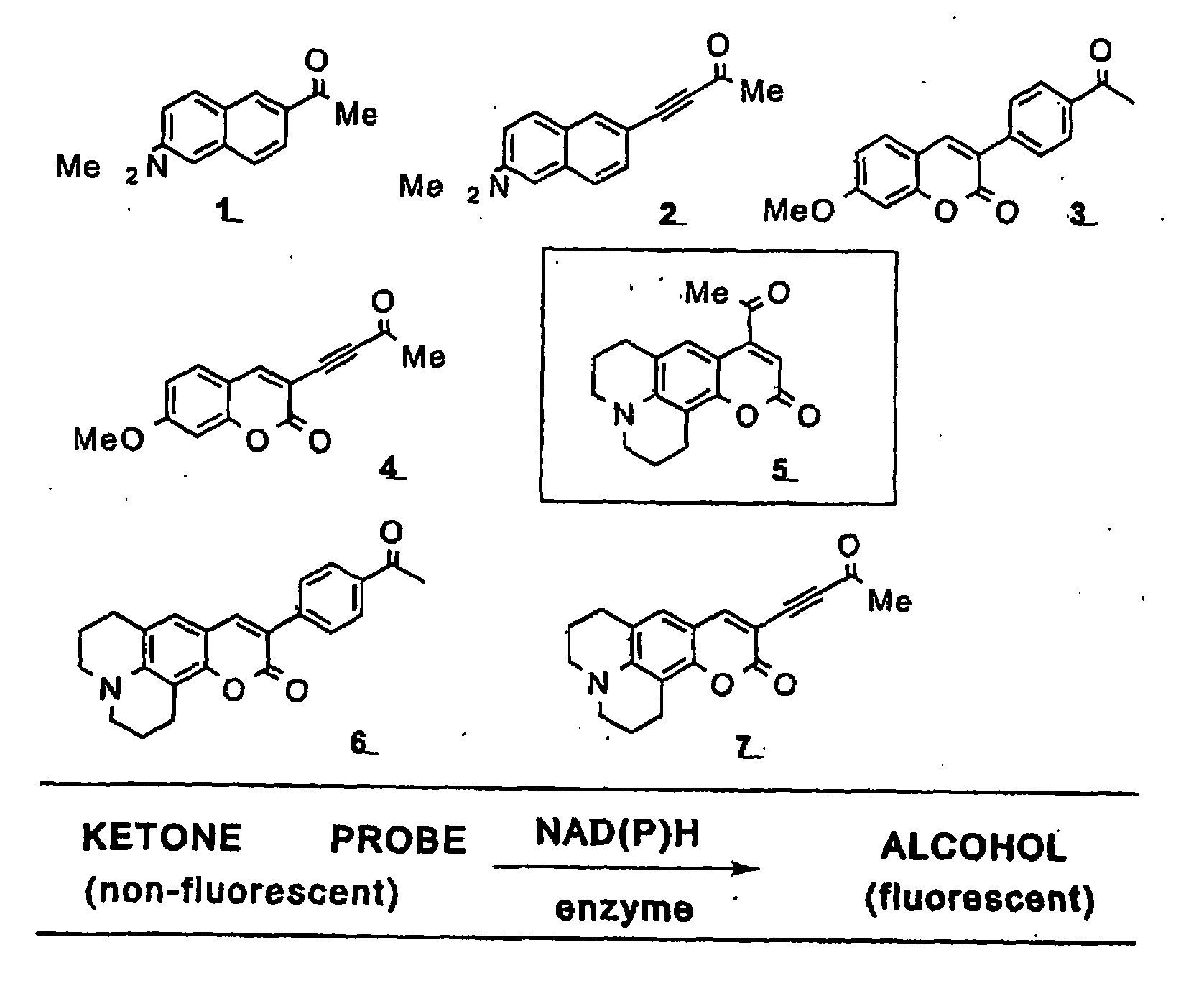 Ligands for Aldoketoreductases