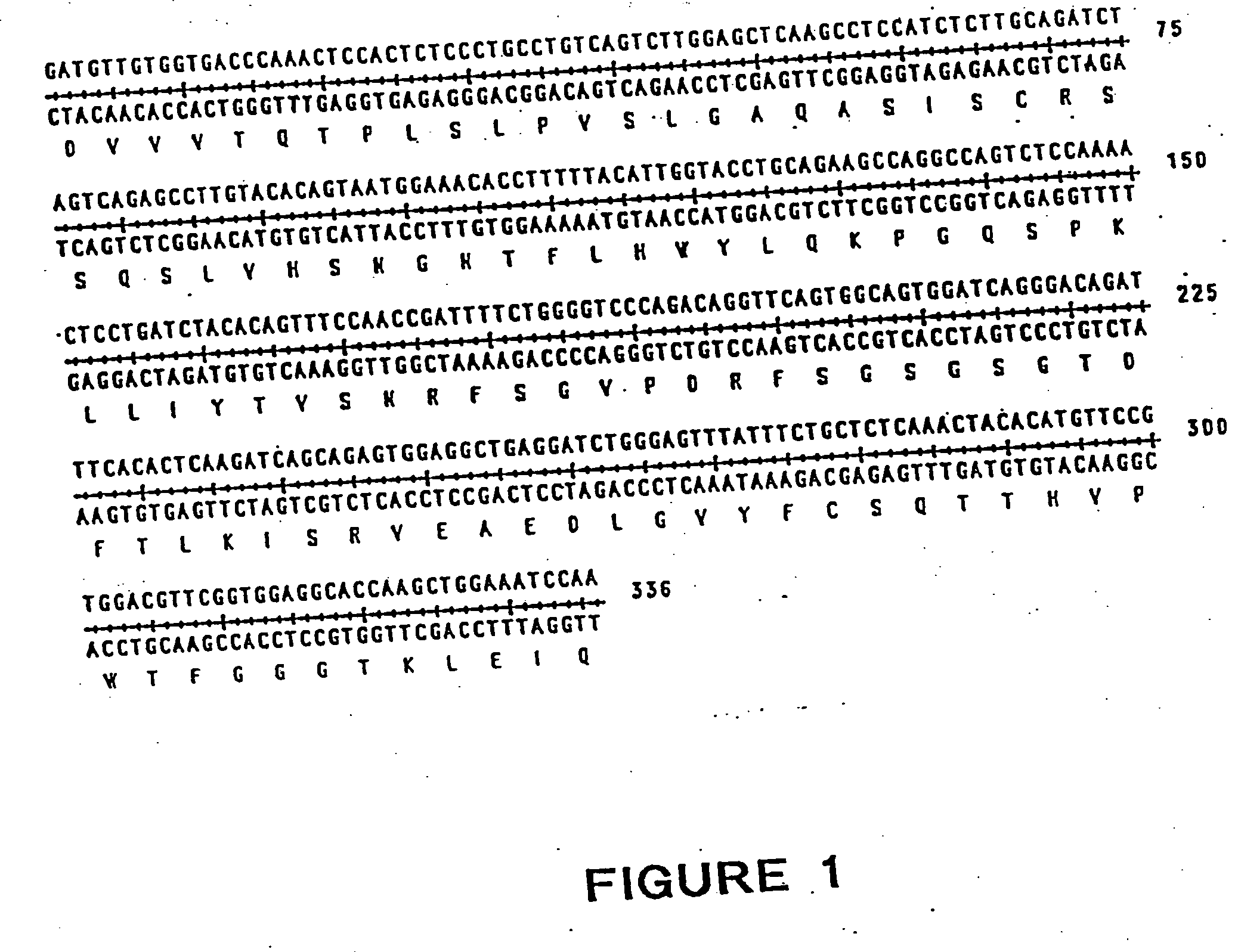 Methods for the treatment or prevention of immune disorders using anti-CD40 antibodies