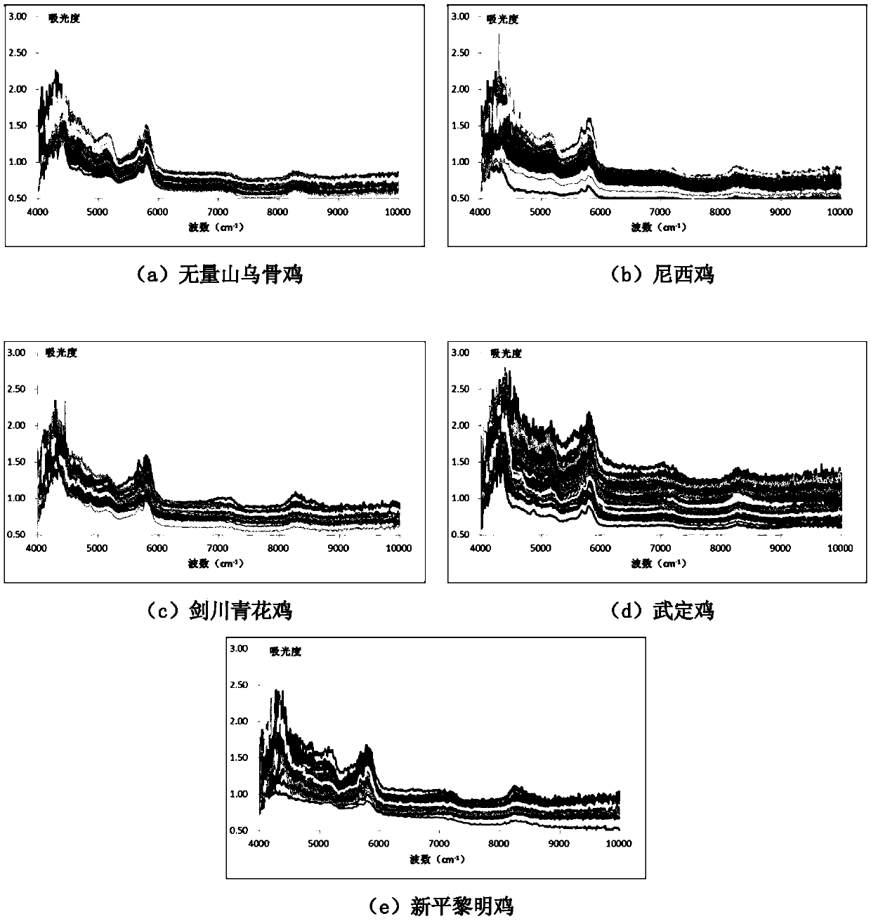 Near-infrared detection method of Yunnan native chicken muscle freeze-dry powder fat content