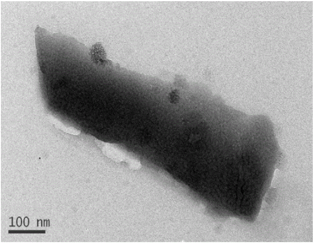 Modified biocarbon composite material and preparation and application thereof