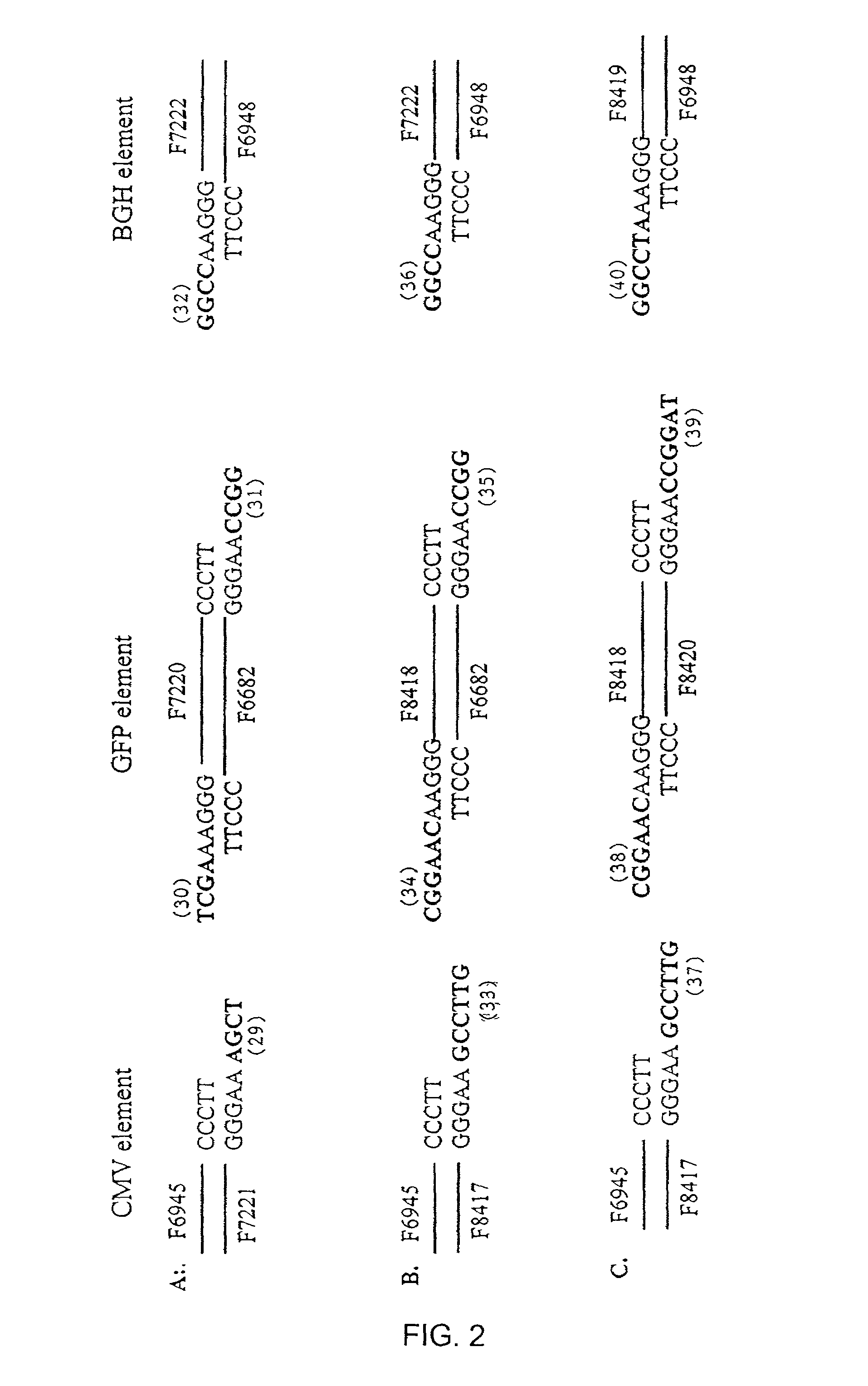 Compositions and methods for rapidly generating recombinant nucleic acid molecules