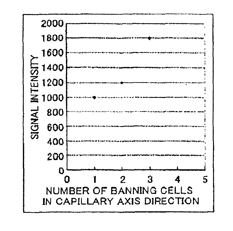 Electrophoresis unit and electrophoretic analysis method