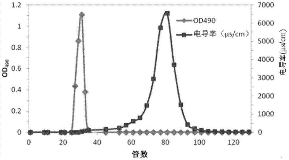 A kind of yew polysaccharide and its preparation method and application