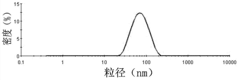 A kind of irinotecan hydrochloride composition and preparation method thereof